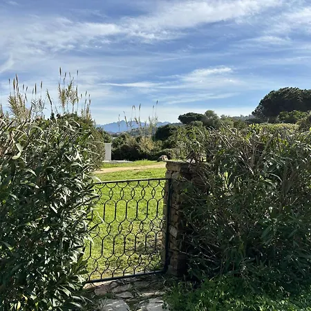 Renovee, Jardin, Acces Mer, 10 Couchages A Porticcio - Fr-1-61-627 * Grosseto-Prugna