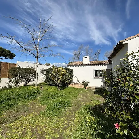Tatil Evi Renovee, Jardin, Acces Mer, 10 Couchages A Porticcio - Fr-1-61-627